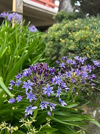 5月